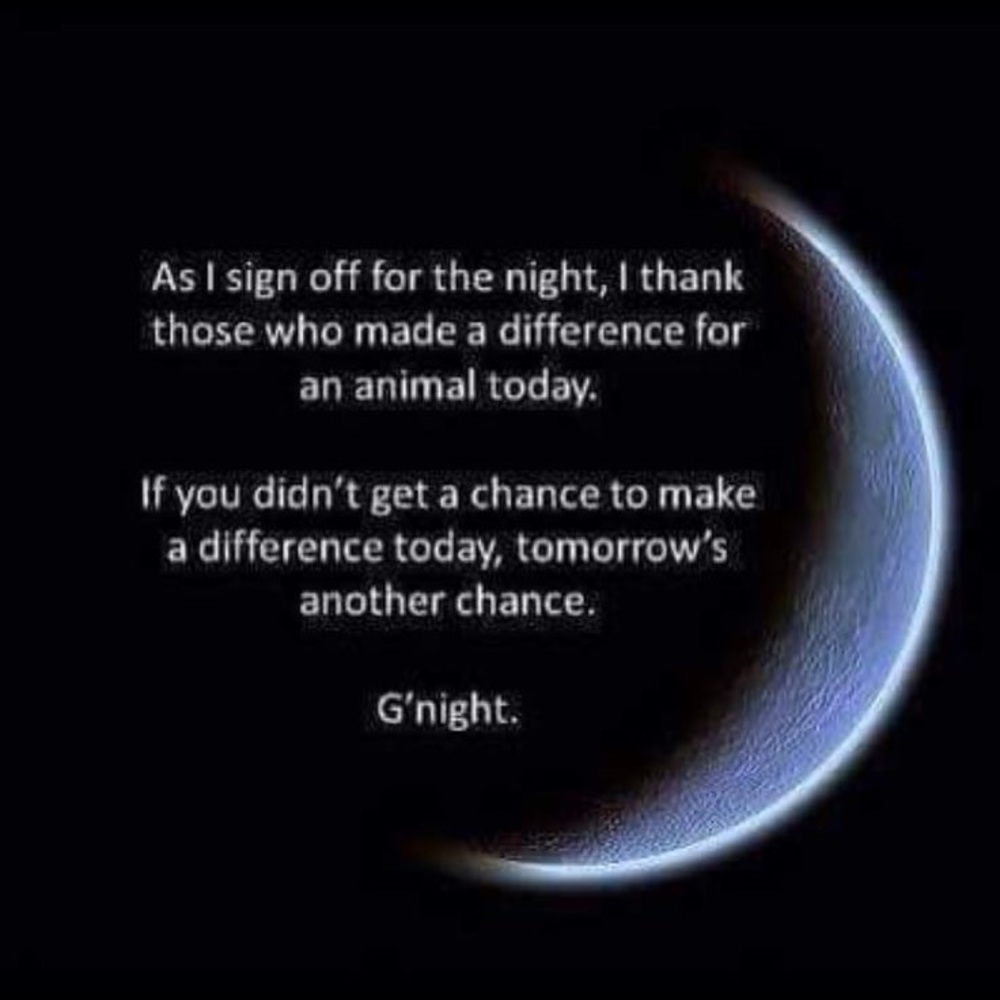 ✨Make a Difference✨ - Picture 4 of 11